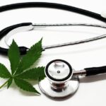 Halvering af patientomkostninger: Medicinsk cannabis revolution i danmark