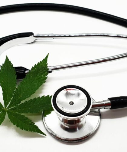 Halvering af patientomkostninger: Medicinsk cannabis revolution i danmark