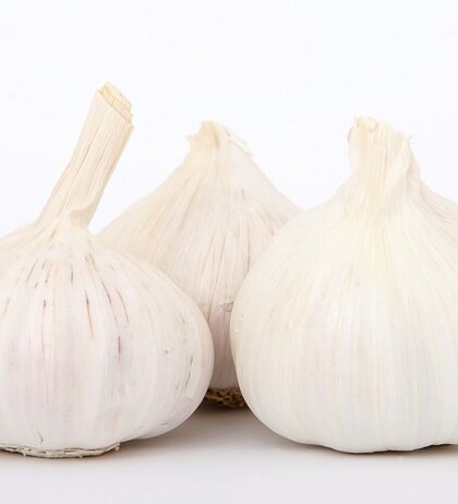 Smagfulde eventyr: Oplev eksotiske krydderier fra Mill & Mortar