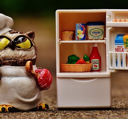 Glaslågede køleskabe: Et stilfuldt og funktionelt valg til ethvert køkken