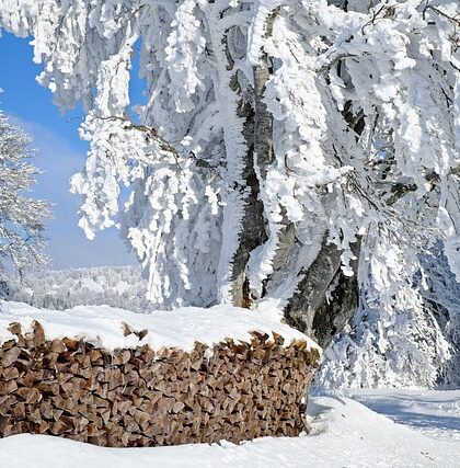 Hjørnehylde i køkkenet: Sådan skaber du mere opbevaringsplads