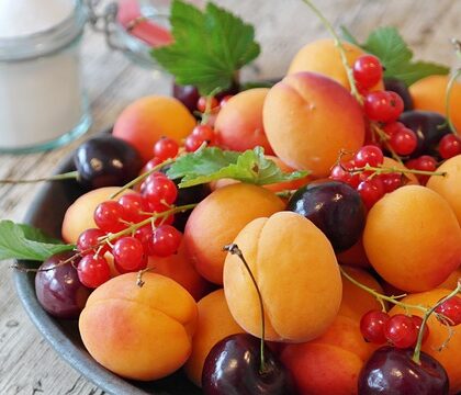 Tallerken fra Lyngby Porcelæn: Et tidløst statement i dit hjem