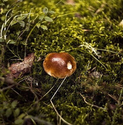 Fløjlsbukser: Sådan plejer du dem for at bevare deres luksuriøse look