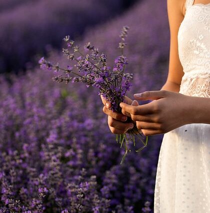 Fra tungt arbejde til lethed: Planterullevognen, der gør havearbejdet til en leg