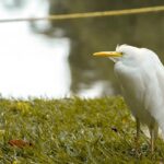 Klimakrisen og økonomien: Grøn omstilling med sorte tal