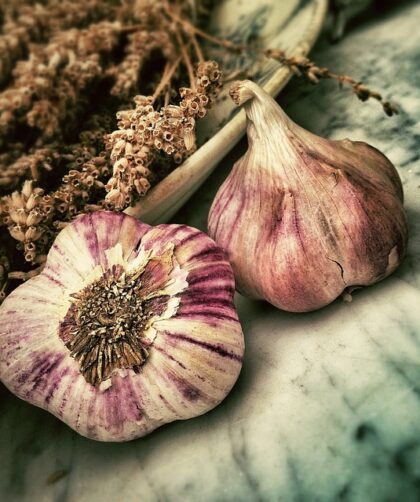 Condibøtte vs. traditionelle krydderiholdere: Hvad er bedst for dig?