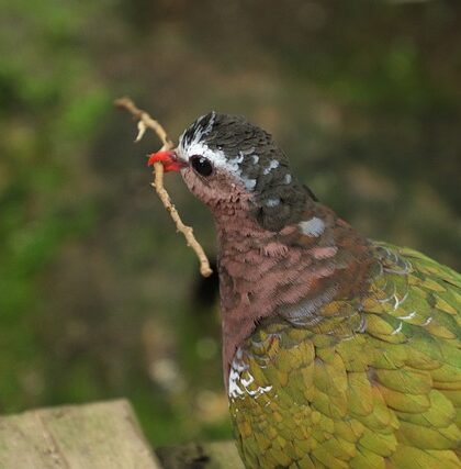 Den ultimative guide til at skrive en god vittighed