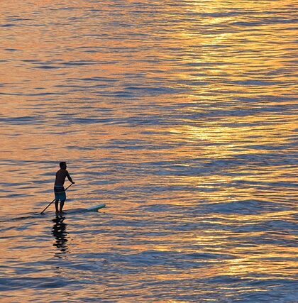 Paddleboard for hele familien: Sådan kan I have det sjovt på vandet sammen
