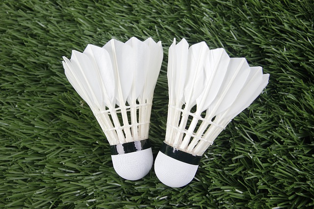 Den komplette guide til badminton og hvordan det kan forbedre din sundhed og livsstil