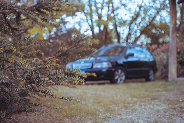 Den store bilguide 2024: Find den bedste familiebil