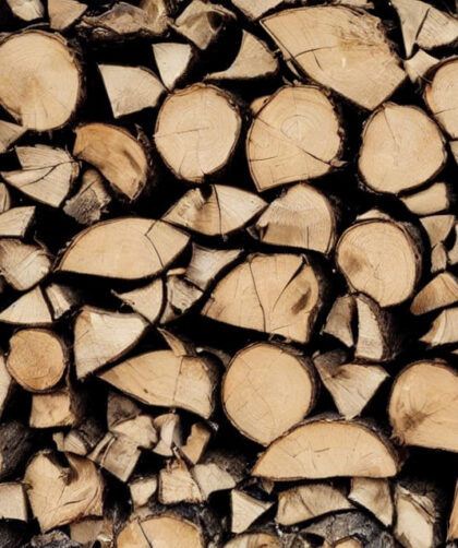 Pejsebrænde 101: Alt hvad du behøver at vide om forskellige trætyper